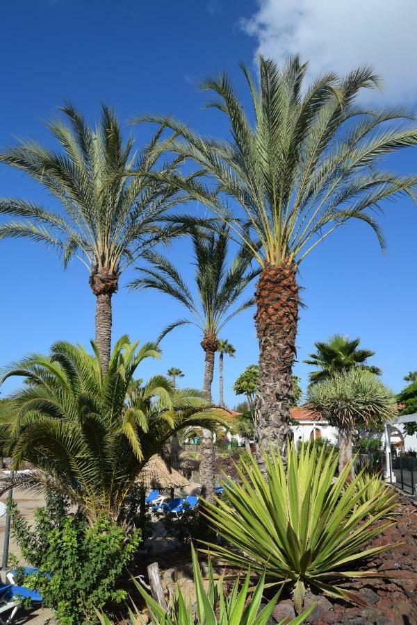 Parque Golf Fresh Lägenhet Maspalomas  Exteriör bild